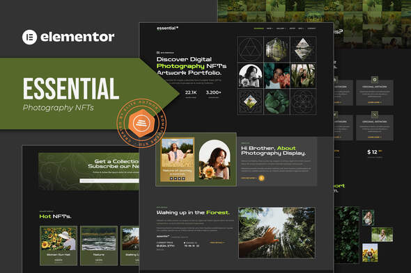 Essential – Photography NFT Portfolio Elementor Template Kit